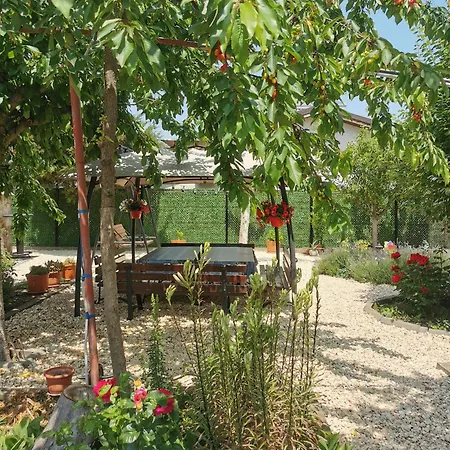 Гостевой дом Casa Ellamy